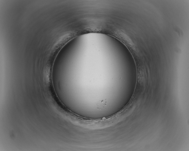 X0000112500023200908171319