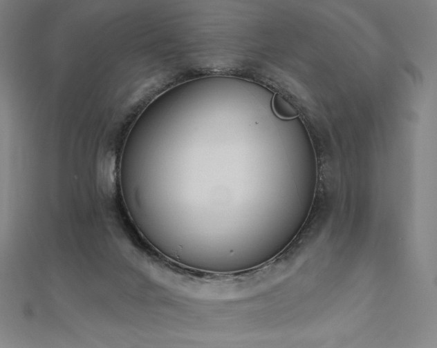 X0000112500024200908171319