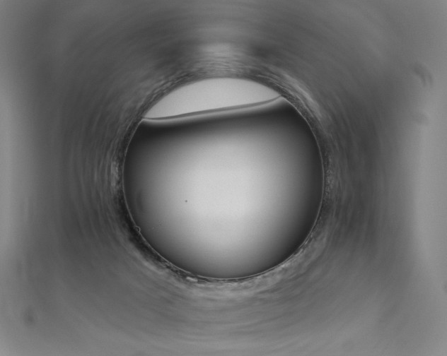 X0000112500025200908171319