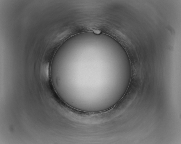 X0000112500028200908171319