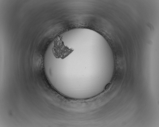 X0000112500029200908171319