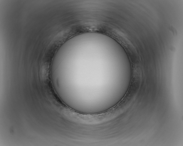 X0000112500030200908171319