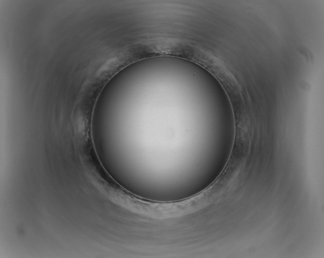 X0000112500031200908171319