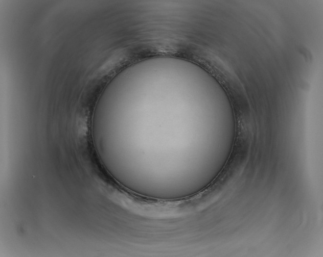 X0000112500032200908171319