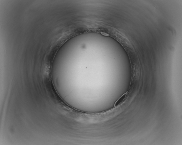 X0000112500033200908171319