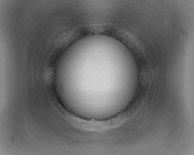 X0000112500034200908171319