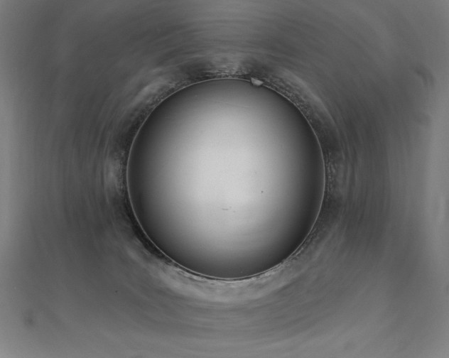 X0000112500035200908171319