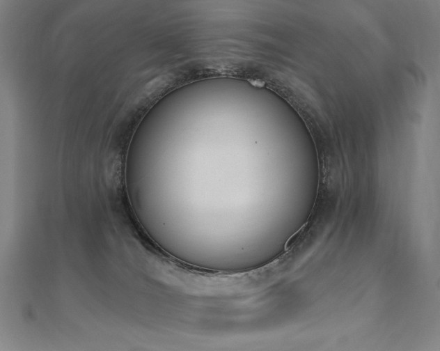 X0000112500036200908171319