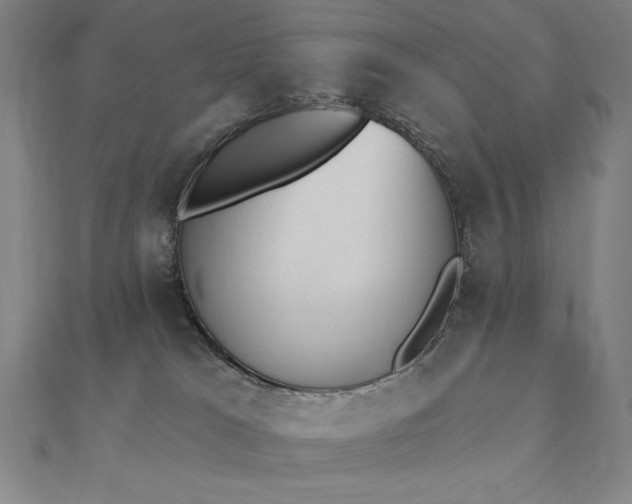 X0000112500037200908171319