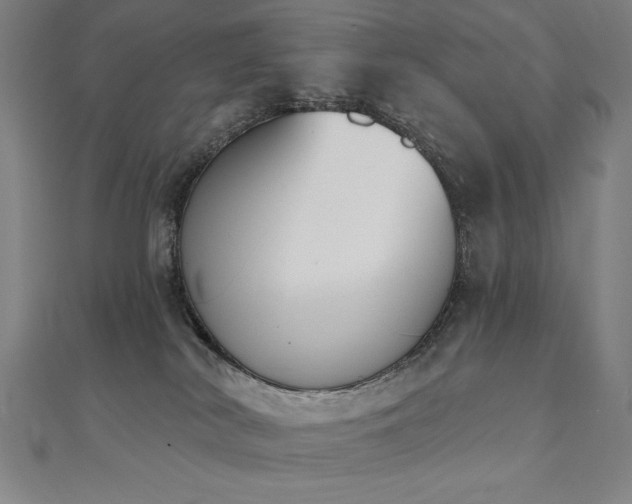 X0000112500038200908171319