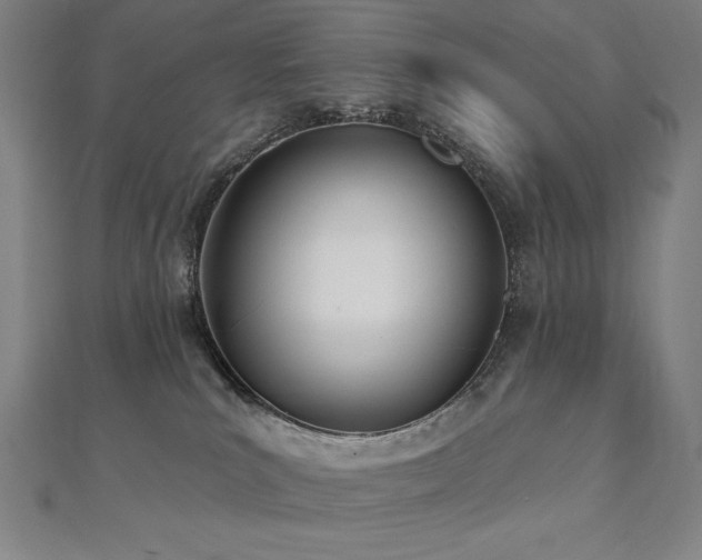 X0000112500039200908171319