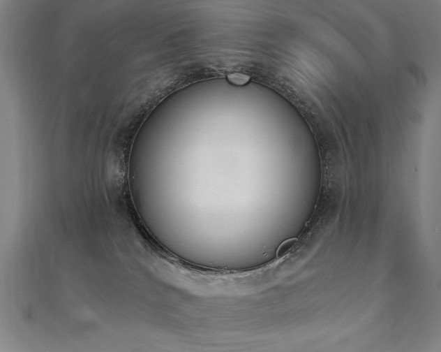 X0000112500040200908171319