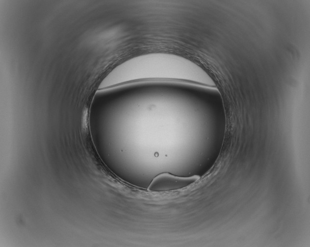 X0000112500041200908171319