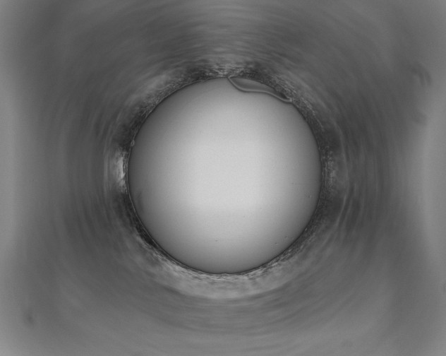 X0000112500042200908171319