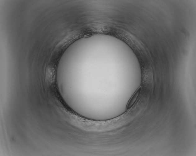 X0000112500043200908171319