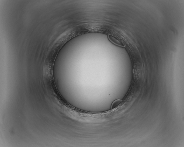 X0000112500044200908171319