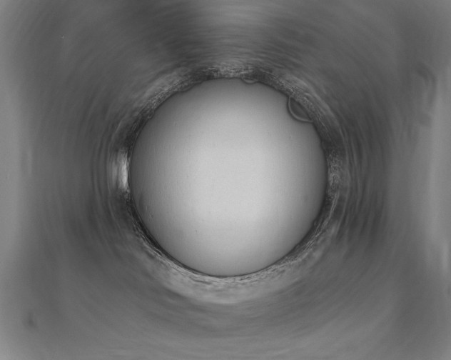 X0000112500046200908171319