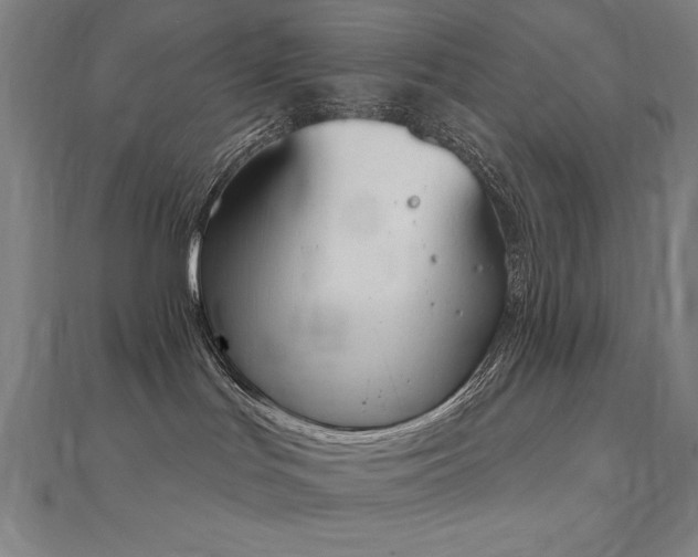 X0000112500047200908171319