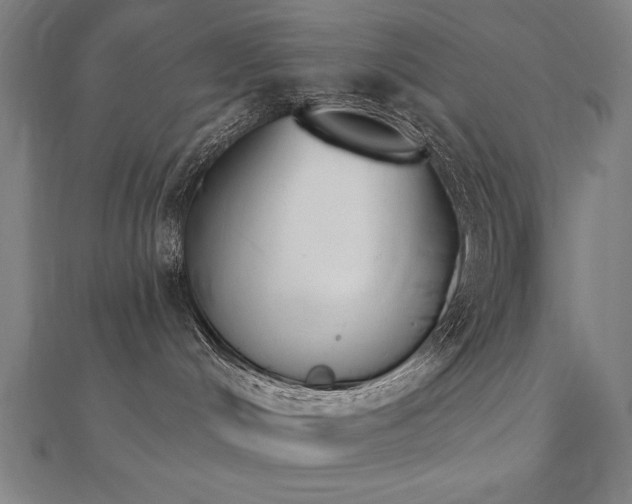 X0000112500048200908171319