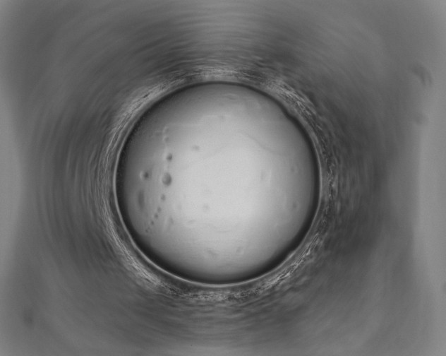 X0000112500049200908171318