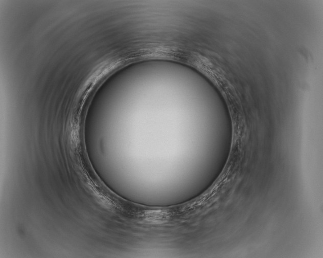 X0000112500050200908171318