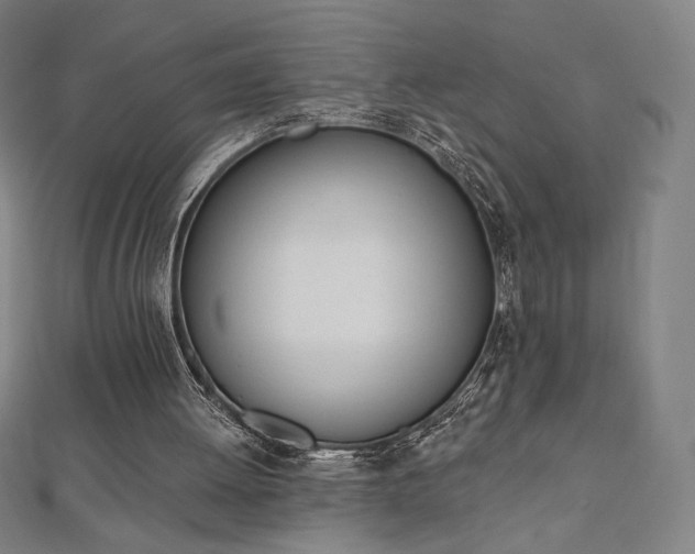 X0000112500052200908171318