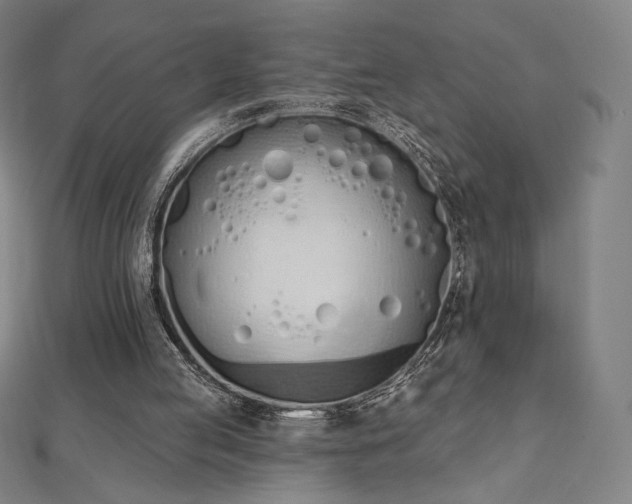 X0000112500053200908171318