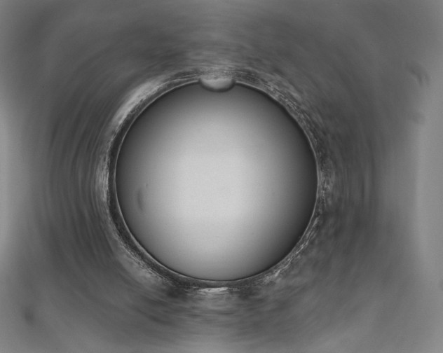 X0000112500054200908171318