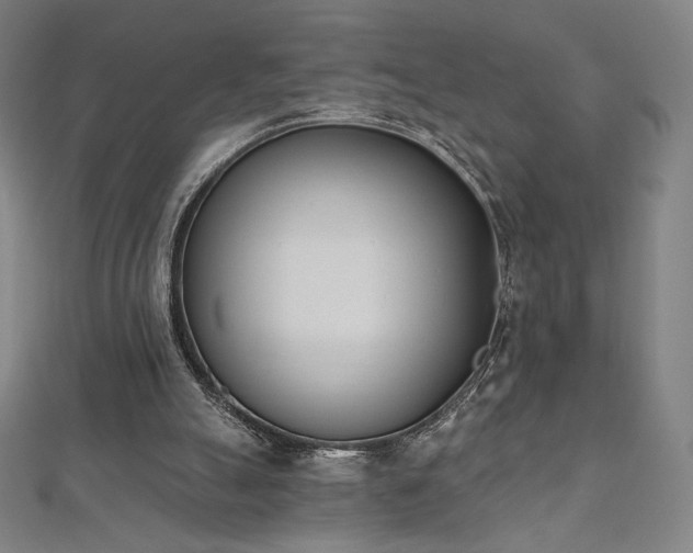 X0000112500055200908171318