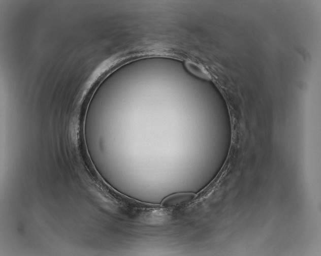 X0000112500056200908171318