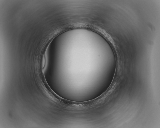 X0000112500057200908171318