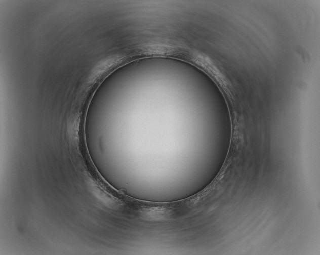 X0000112500058200908171318