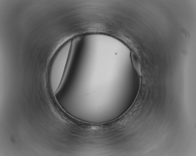 X0000112500060200908171318