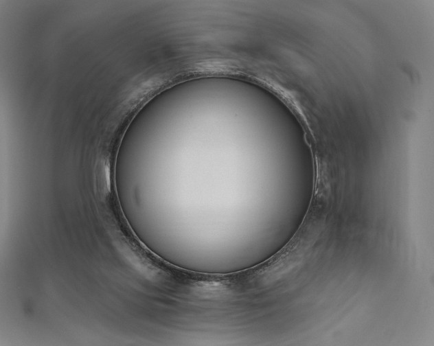 X0000112500061200908171318