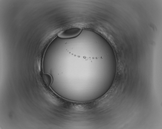 X0000112500062200908171318