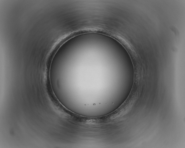 X0000112500064200908171318