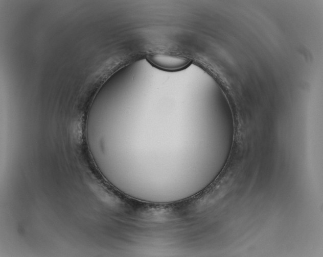 X0000112500065200908171318