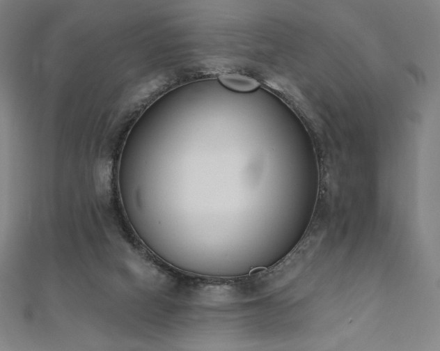 X0000112500066200908171318