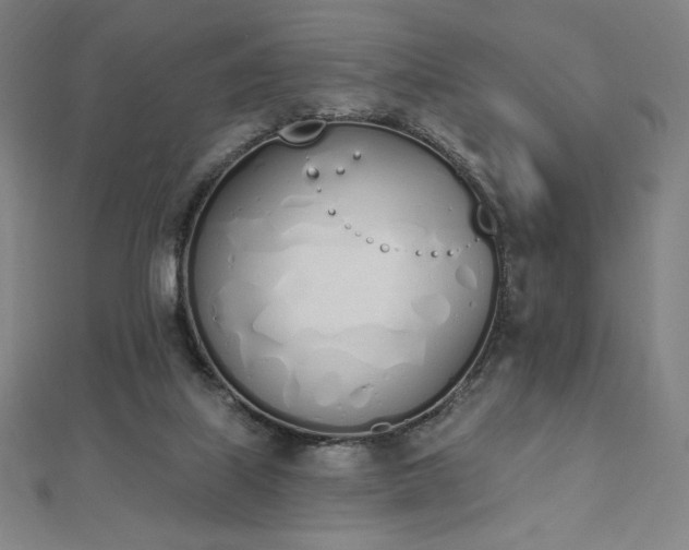 X0000112500067200908171318