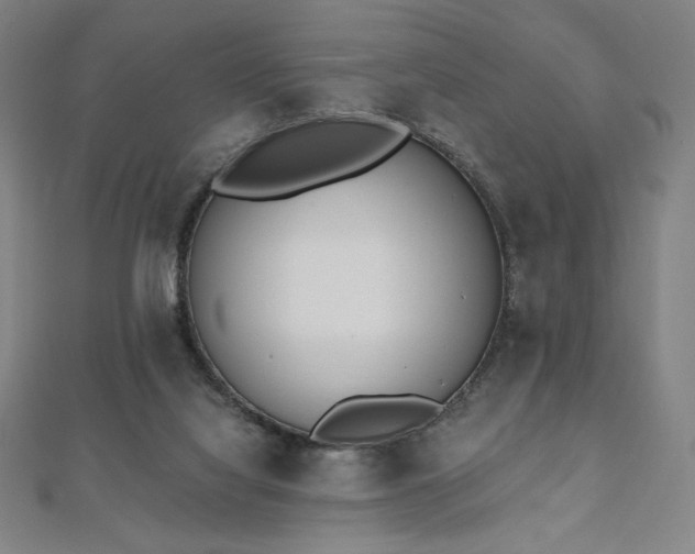 X0000112500068200908171318