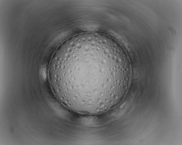 X0000112500069200908171318