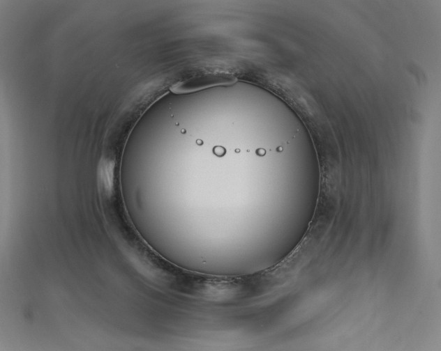 X0000112500070200908171318