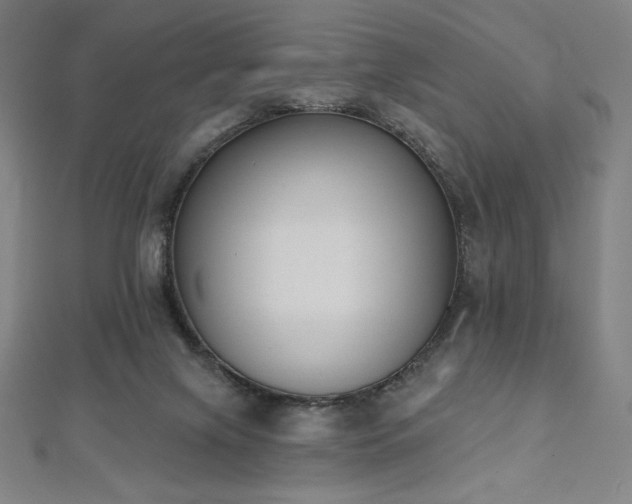 X0000112500071200908171318