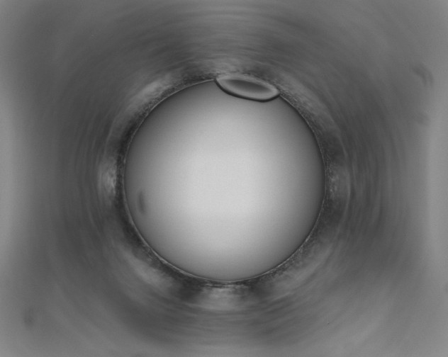 X0000112500072200908171318