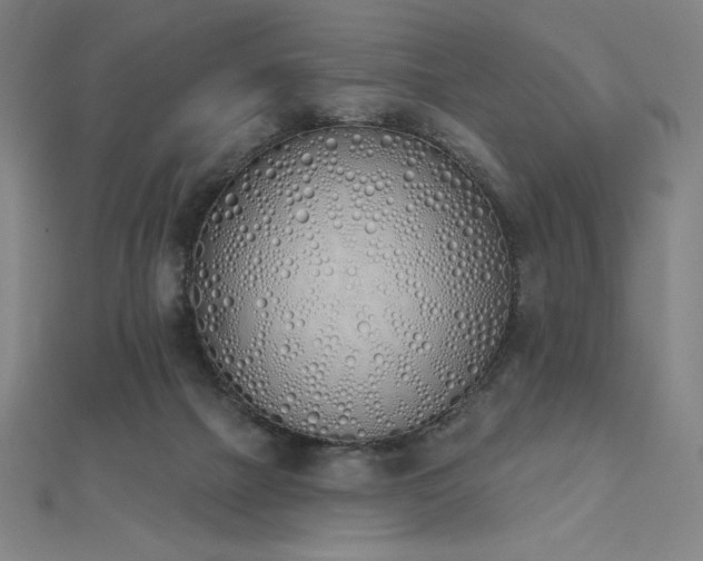 X0000112500073200908171318