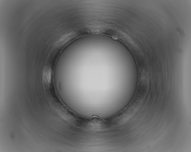 X0000112500076200908171318