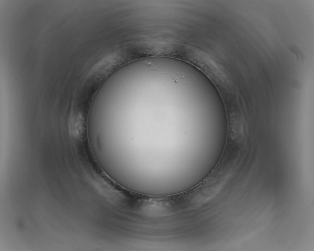 X0000112500077200908171318