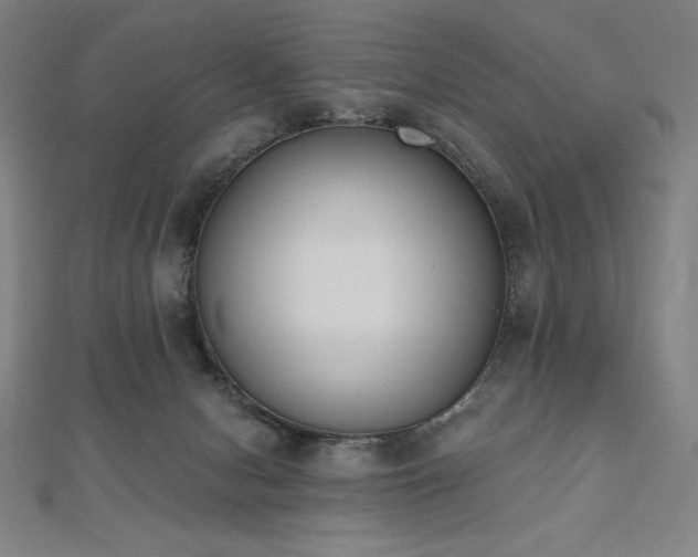 X0000112500078200908171318