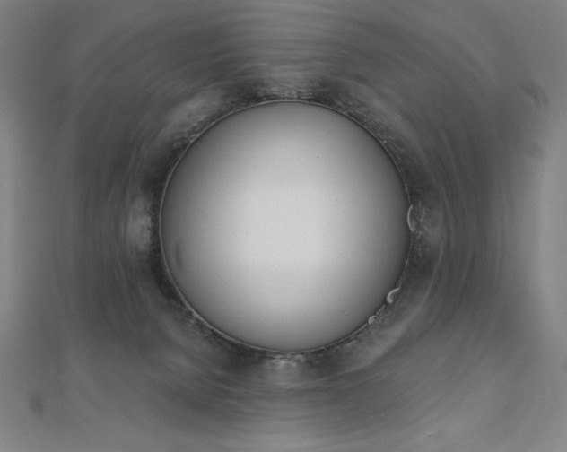 X0000112500080200908171318