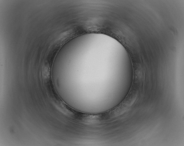 X0000112500081200908171318